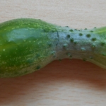 Thumbnail of post image 071