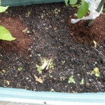 Thumbnail of post image 131