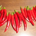Thumbnail of post image 109
